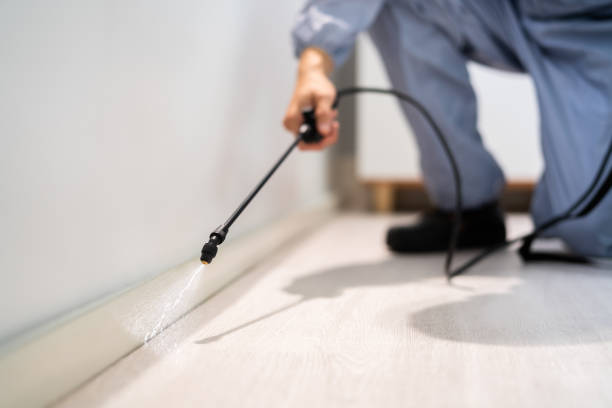Licensed Cockroach Control service in Eureka, CA - Nex Pest Control
