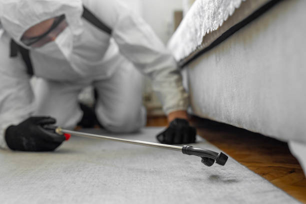 Professional Cockroach Control technician working in Eureka, CA