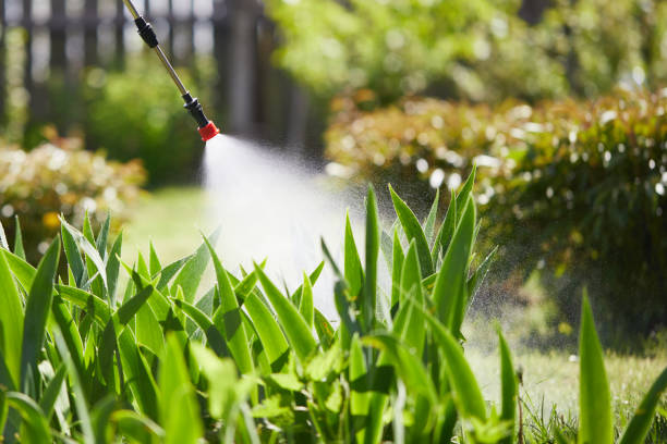 24/7 Emergency Cockroach Control experts in Eureka, CA