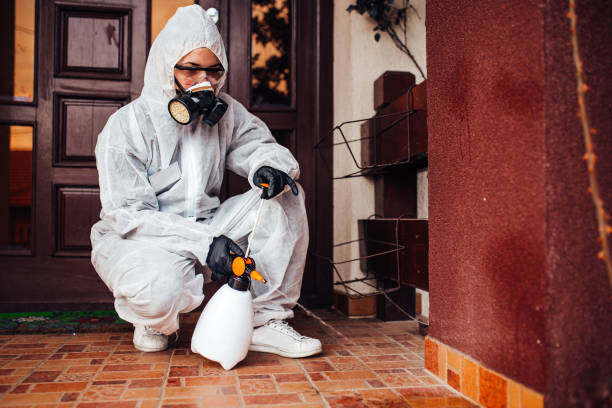 Reliable Cockroach Control contractor in Eureka, CA by Nex Pest Control